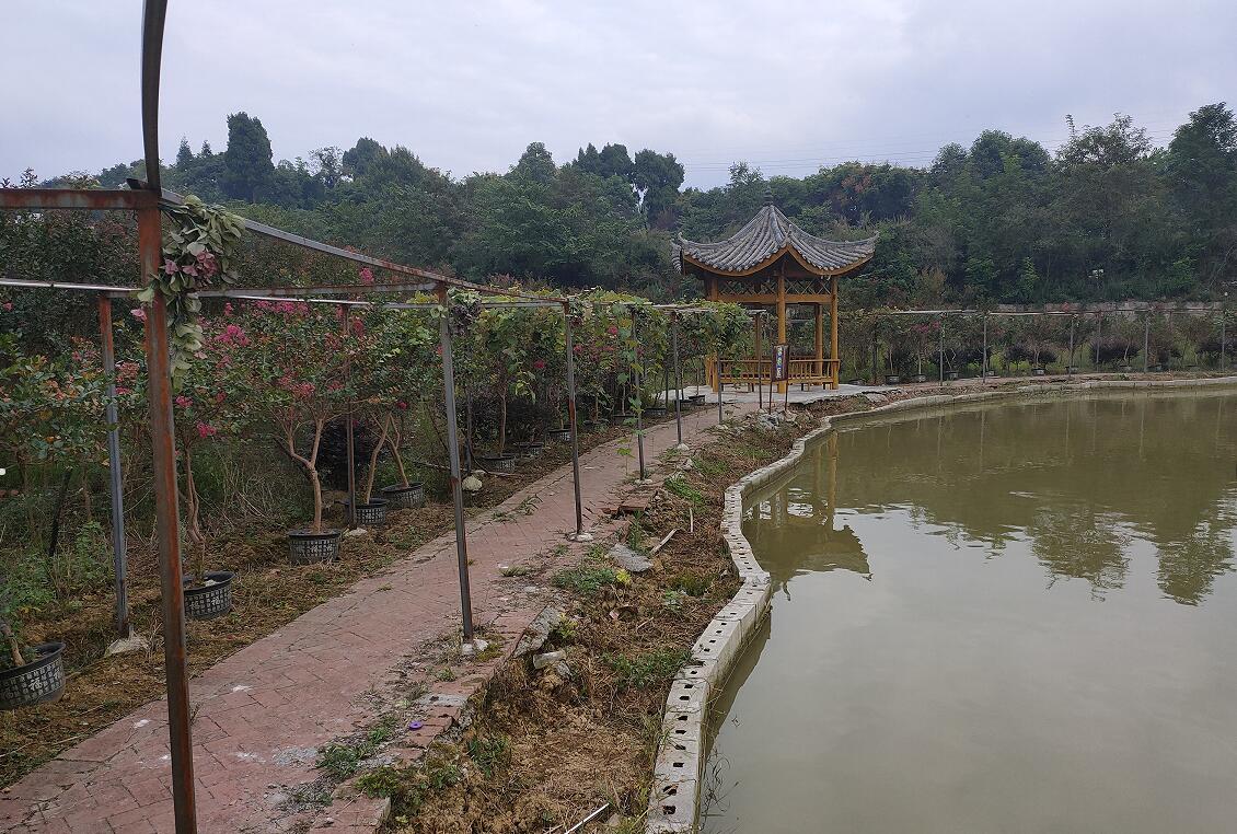 QQ截图20230906165831.jpg
