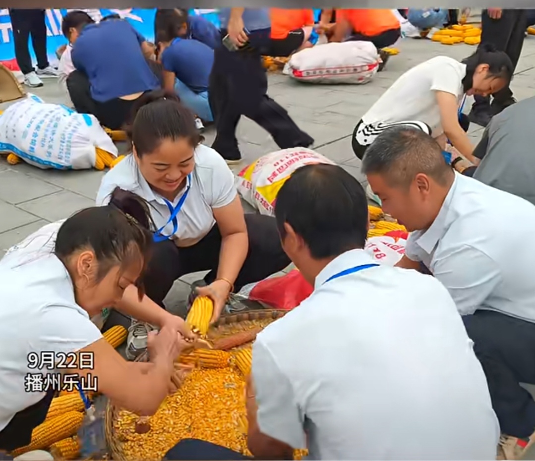 玉米.jpg 玉米.jpg