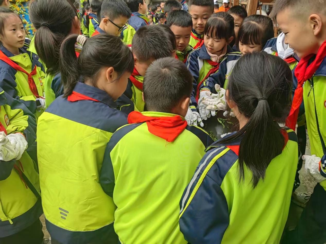 图片2.png 图片2.png