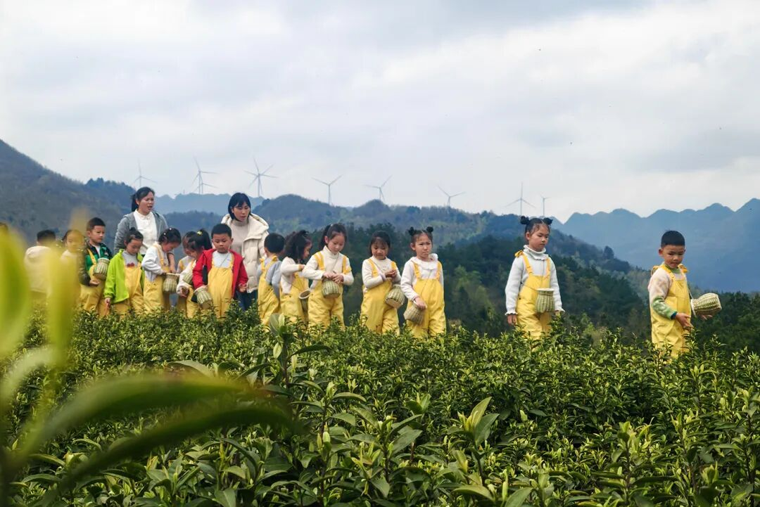 图片1.png 图片1.png