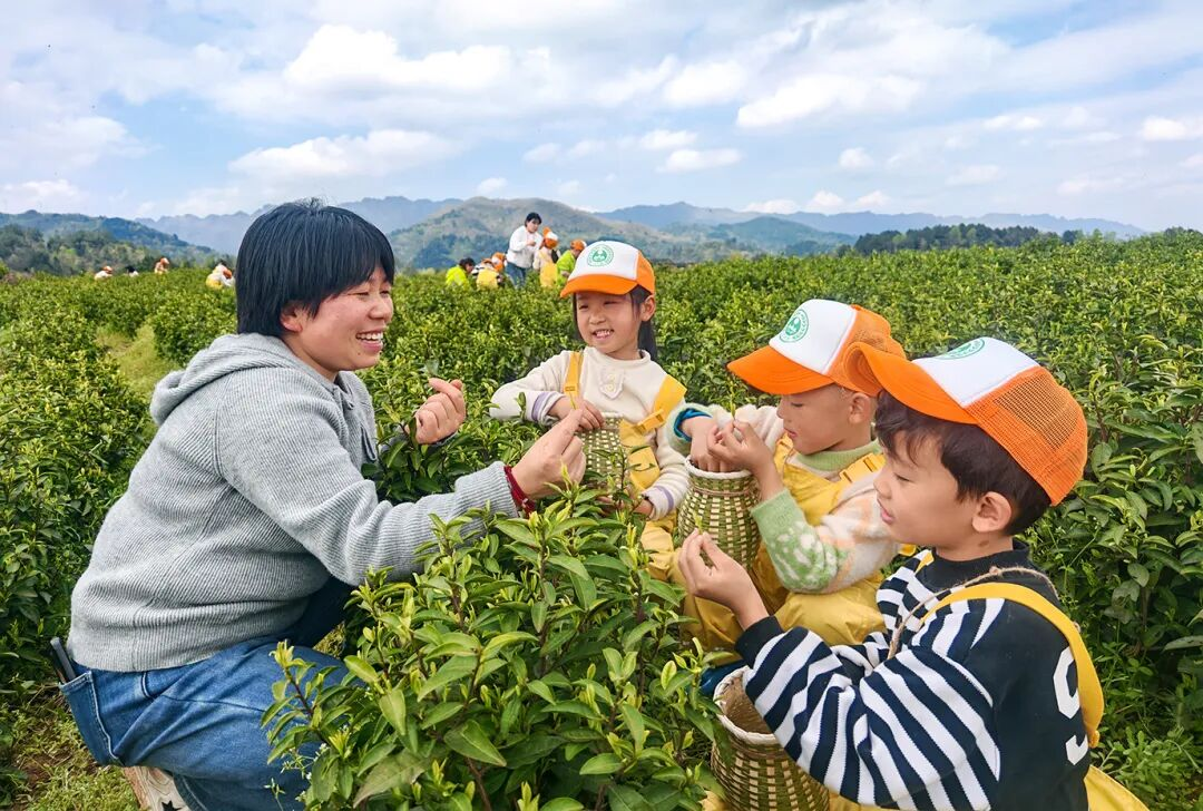 图片2.png 图片2.png