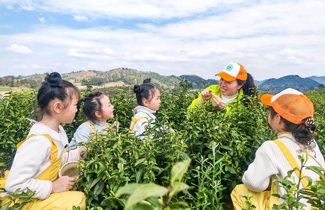 图片3.png 图片3.png