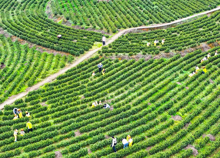 图片4.png 图片4.png